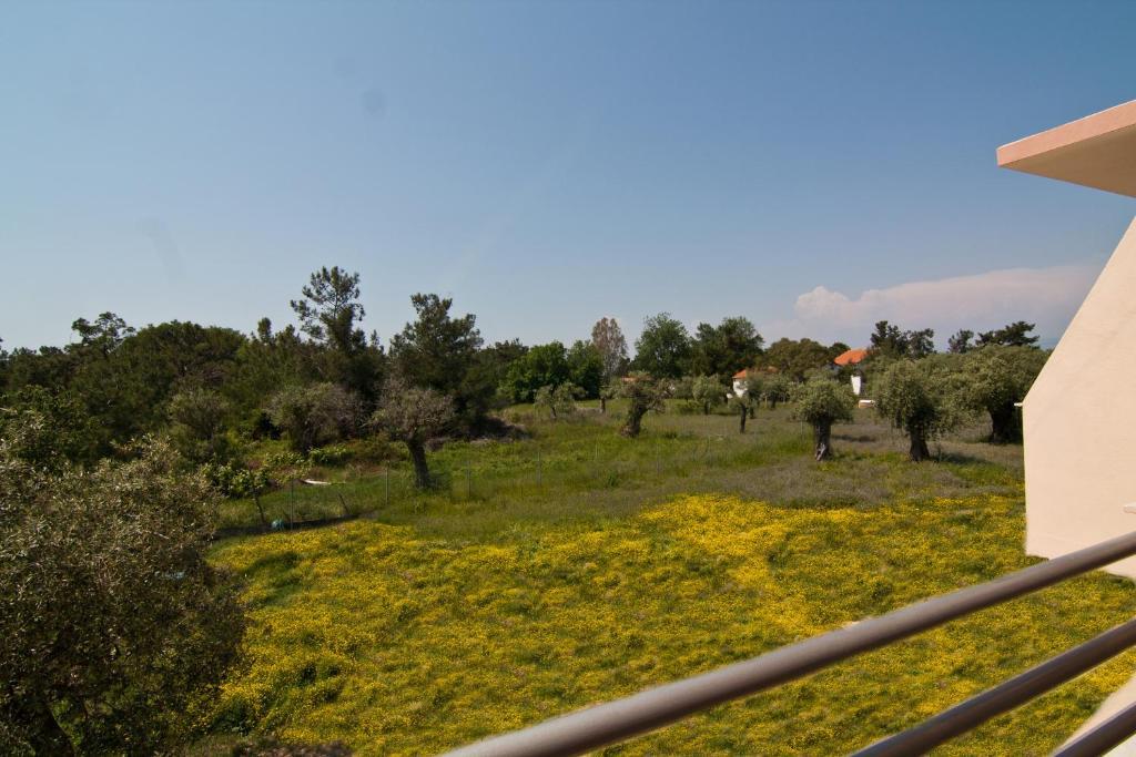 Studios Dimitraki Skala Rachoni  Rom bilde